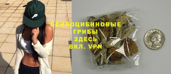 гидра Баксан