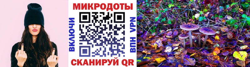 Галлюциногенные грибы мицелий  цены   Котельнич 